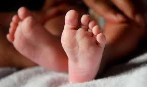 泰国正规供卵流程_泰国康民医院的体外受精（IVF）--高IVF成功率的三个关键。