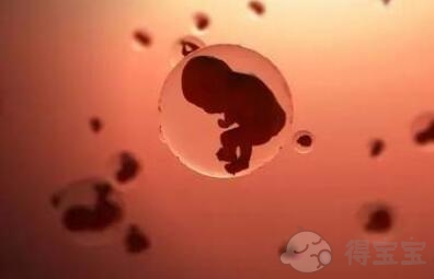 泰国试管婴儿胚胎移植后需要多长时间才能确定成功？