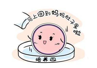 重庆53岁助孕宝宝-6天冷冻胚胎移植成功的表现有哪些？