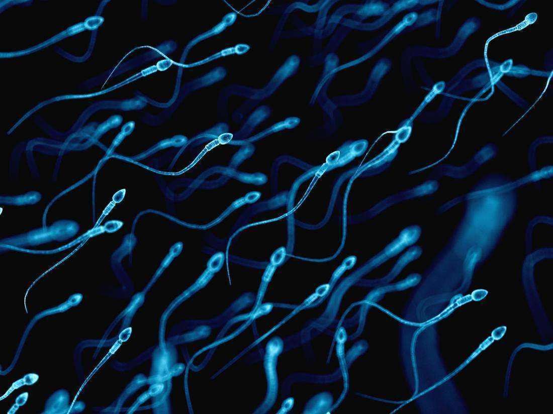周口供卵助孕花费：云南省计划生育研究所供卵试管婴儿的费用是多少？